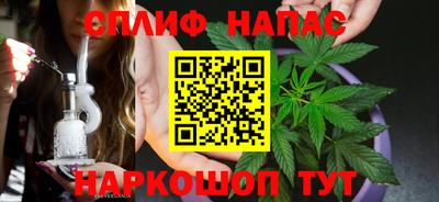 гашик Ирбит