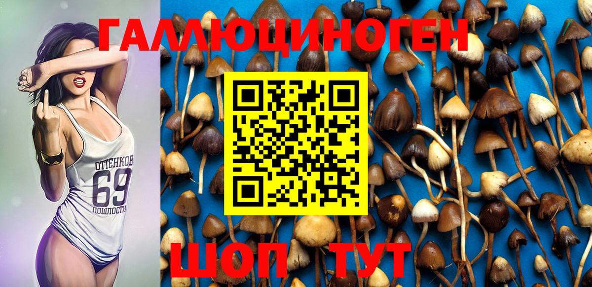 Магнитогорск  Псилоцибиновые грибы MAGIC MUSHROOMS  Вход с VPN 