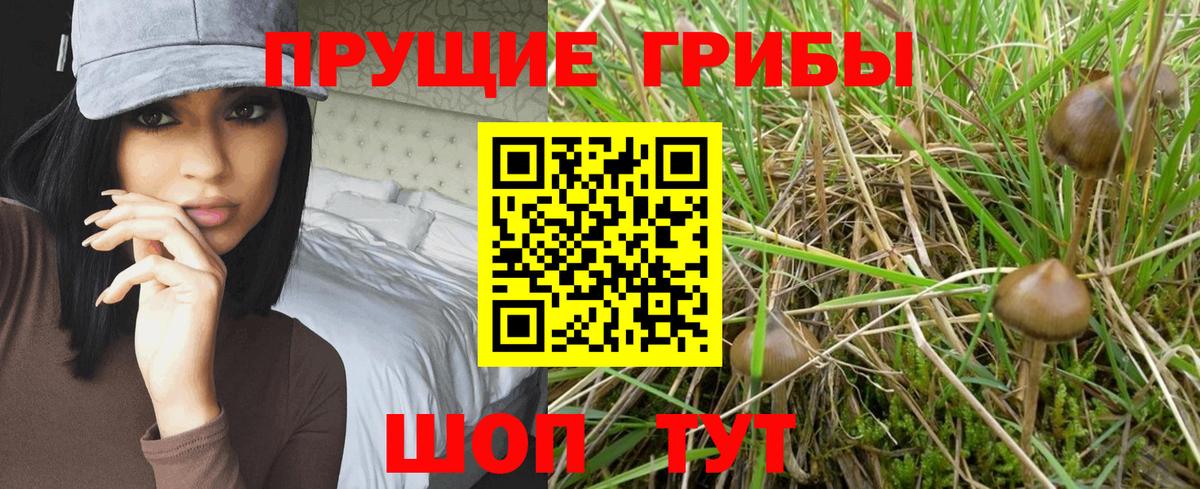 Галлюциногенные грибы прущие грибы Магнитогорск